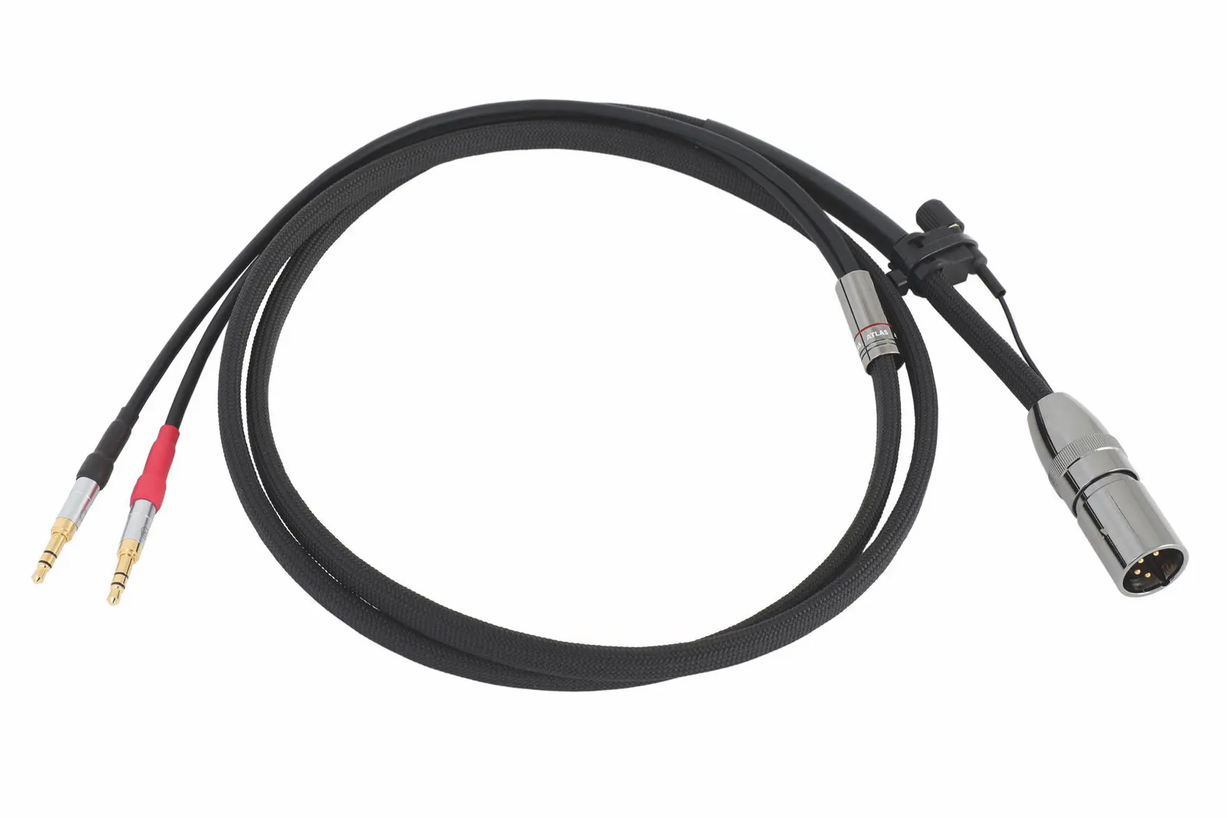 Zeno Harmonic XLR coiled